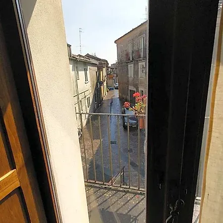 Diffuso Il Miglio *