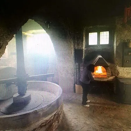 Diffuso Il Miglio * Amato